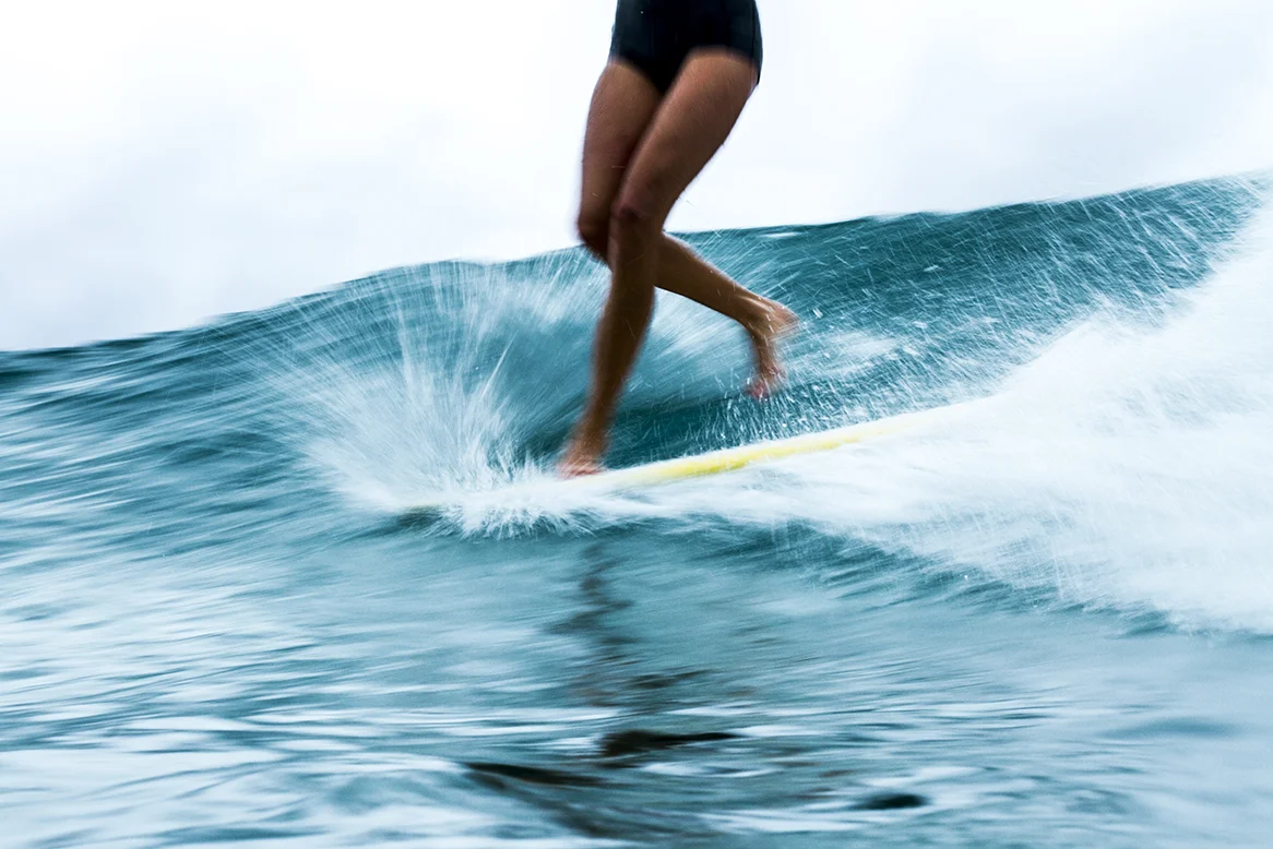 IMG_3716 snapper-5-3-2016-ivy-thomas-oneill.jpg