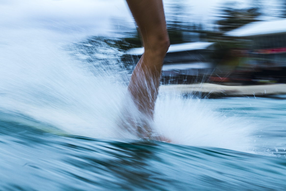 IMG_3723 snapper-5-3-2016-ivy-thomas-oneill.jpg