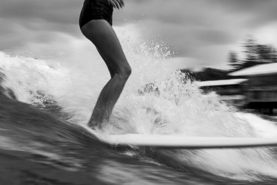 IMG_3733 snapper-5-3-2016-ivy-thomas-oneill.jpg