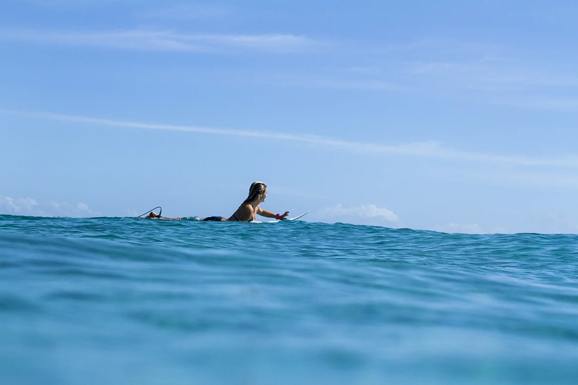 IMG_5210 snapper-10-3-2016-bronte-macaulay.jpg