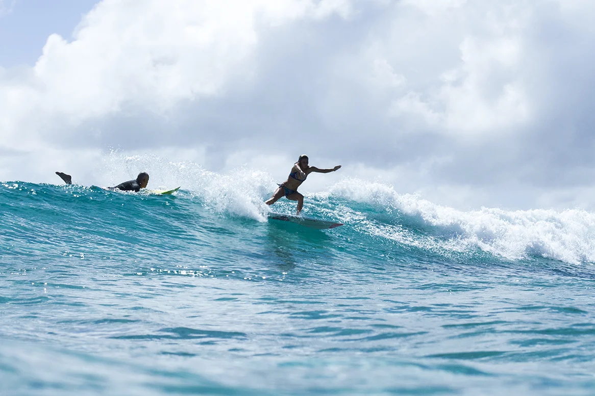 IMG_5215 snapper-10-3-2016-chelsea-tuach.jpg