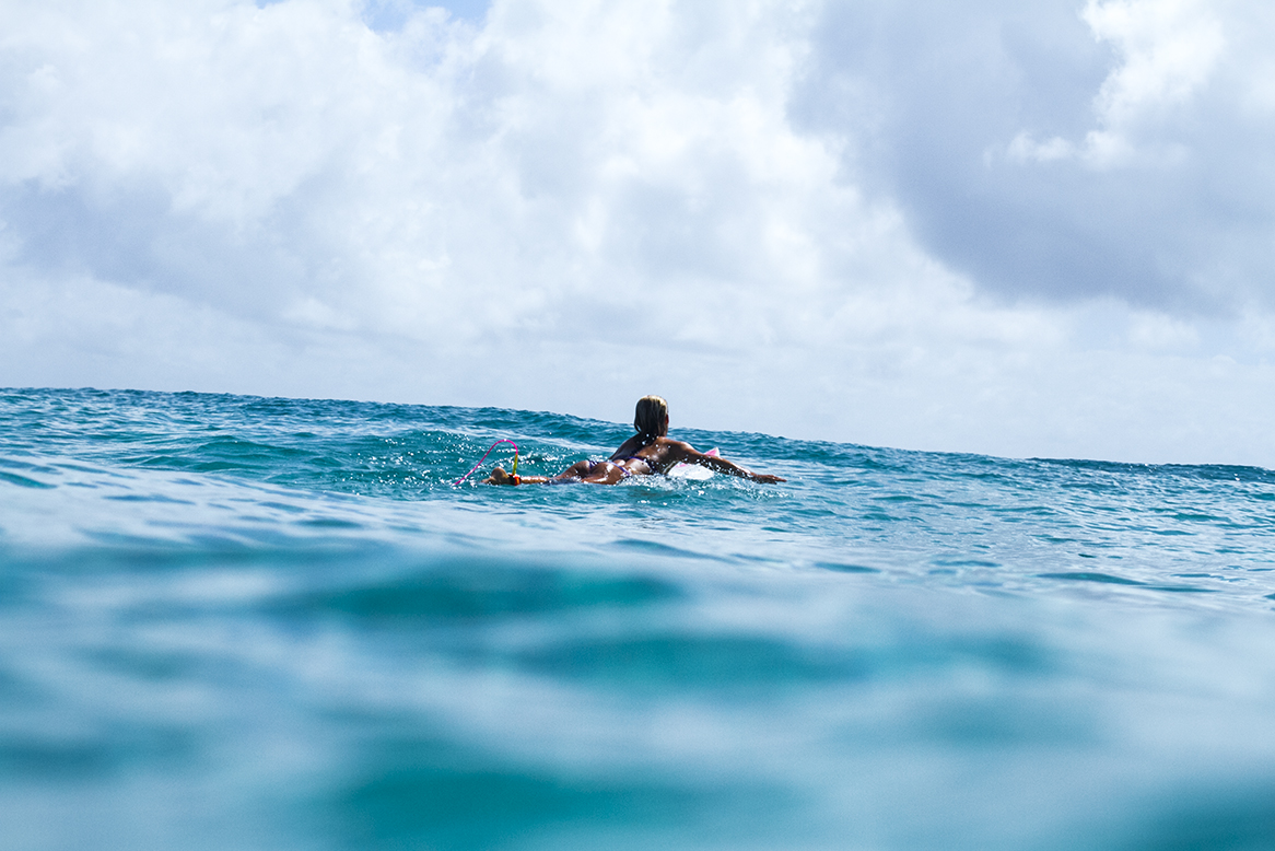 IMG_5226 snapper-10-3-2016-chelsea-tuach.jpg