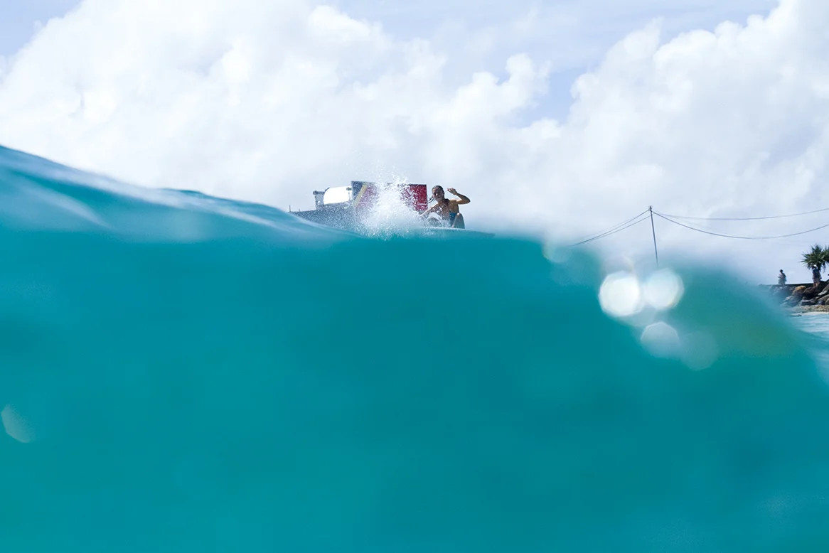 IMG_5245 snapper-10-3-2016-chelsea-tuach.jpg