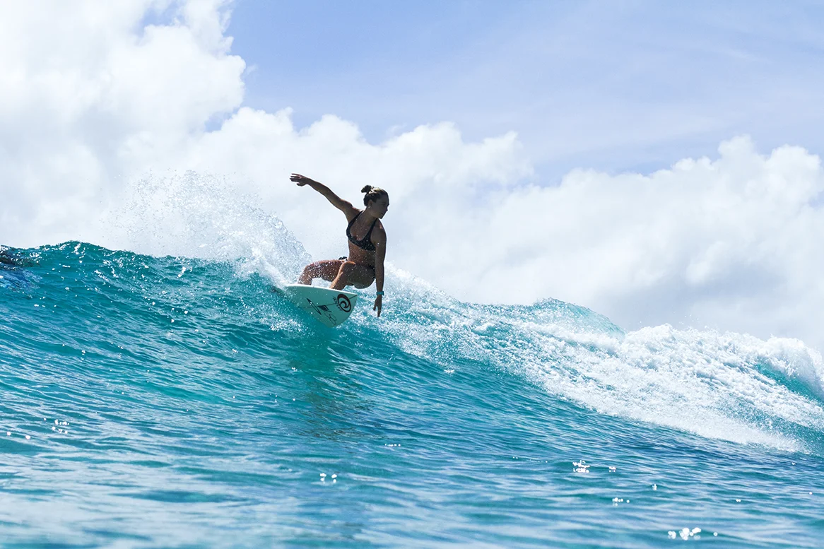 IMG_5275 snapper-10-3-2016-nikki-van-dijk.jpg