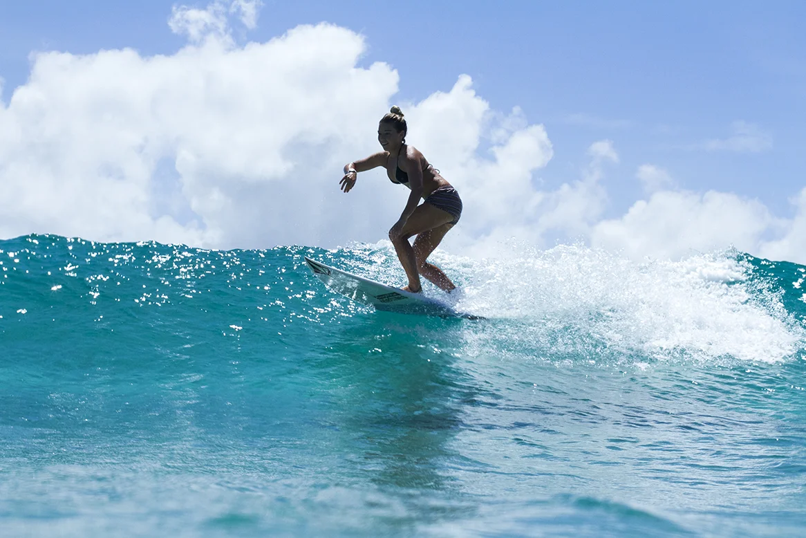 IMG_5345 snapper-10-3-2016-coco-ho.jpg
