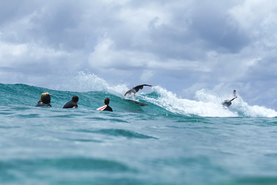 IMG_5491 snapper-10-3-2016-laura-enever.jpg