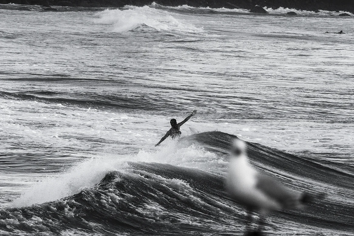 IMG_5183 dbah-10-3-2016-johanne-defay.jpg