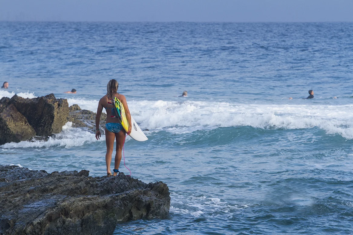 IMG_5627 snapper-11-3-2016-keely-andrew.jpg