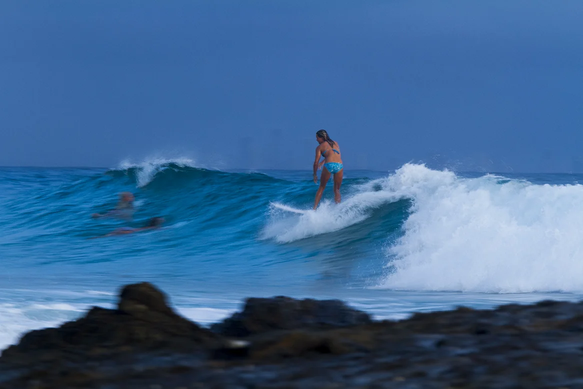 IMG_5633 snapper-11-3-2016-keely-andrew.jpg