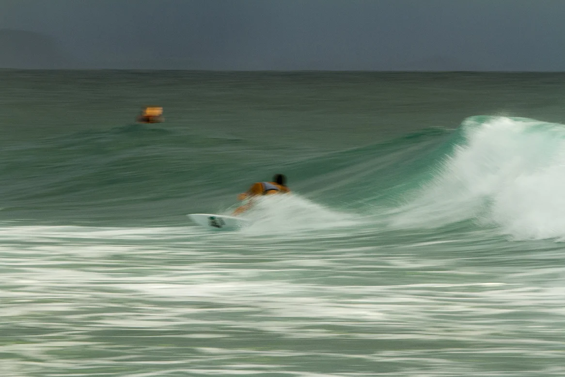 IMG_5635 snapper-11-3-2016-johanne-defay.jpg