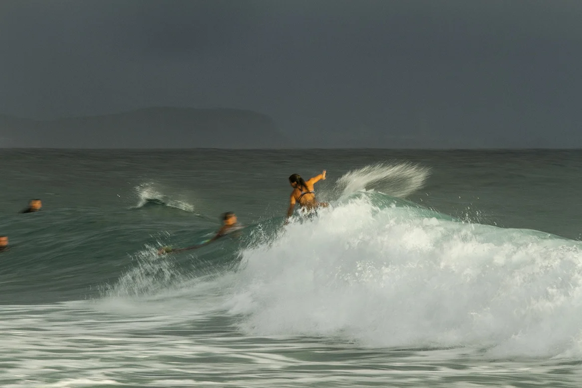 IMG_5636 snapper-11-3-2016-johanne-defay.jpg