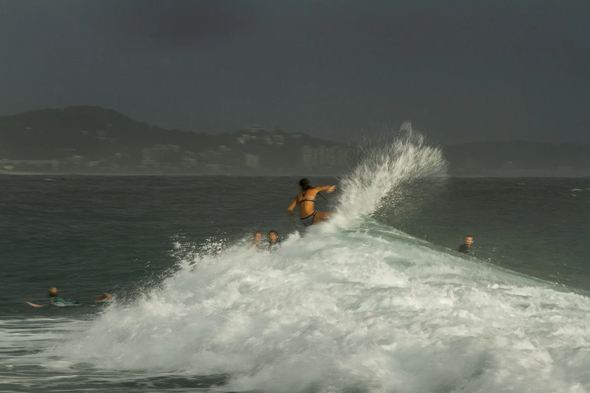 IMG_5638 snapper-11-3-2016-johanne-defay.jpg