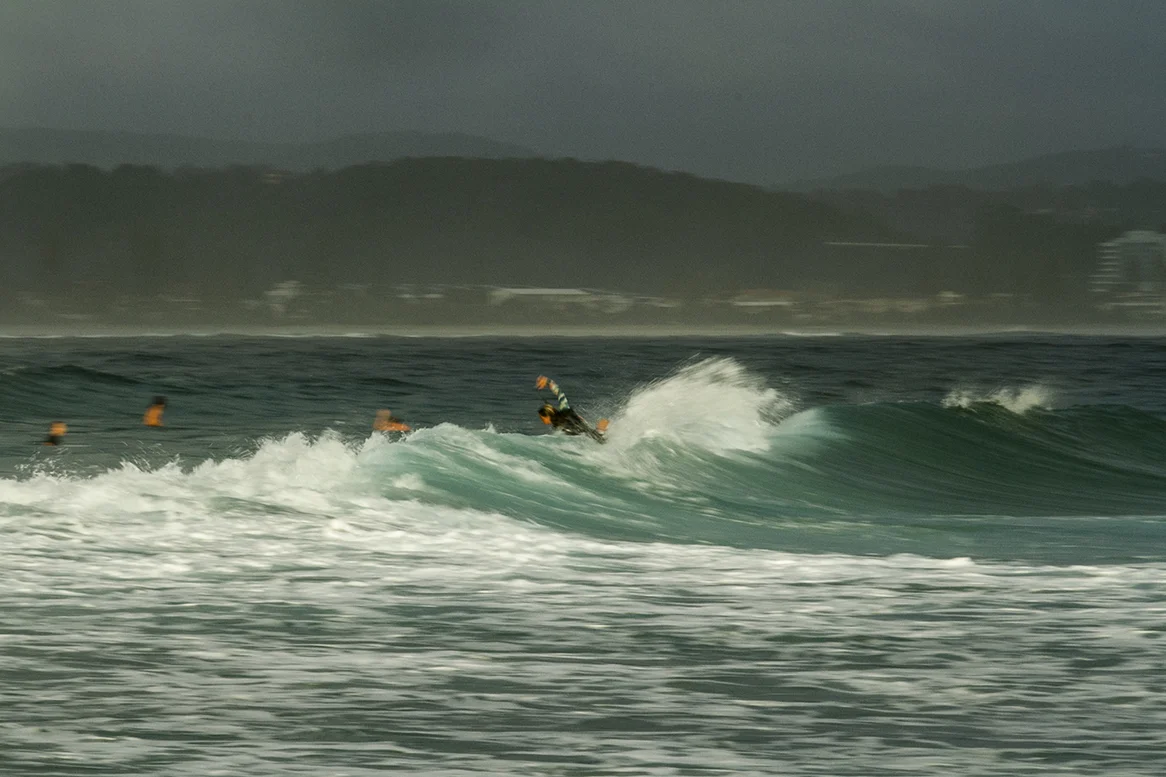 IMG_5641 snapper-11-3-2016-courtney-conlogue.jpg