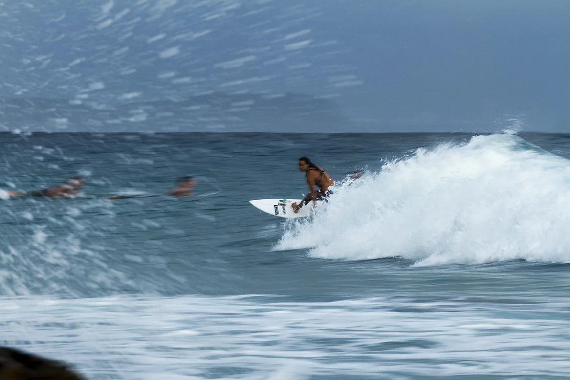 IMG_5651 snapper-11-3-2016-johanne-defay.jpg