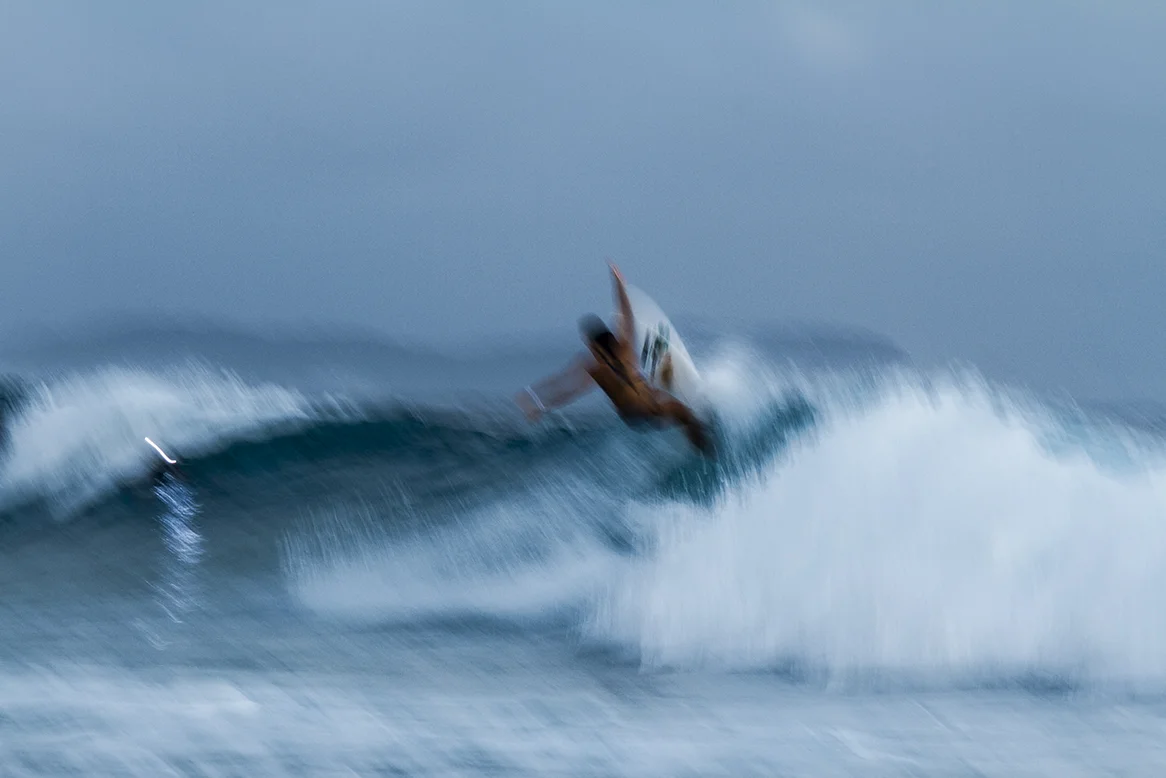 IMG_5655 snapper-11-3-2016-johanne-defay.jpg