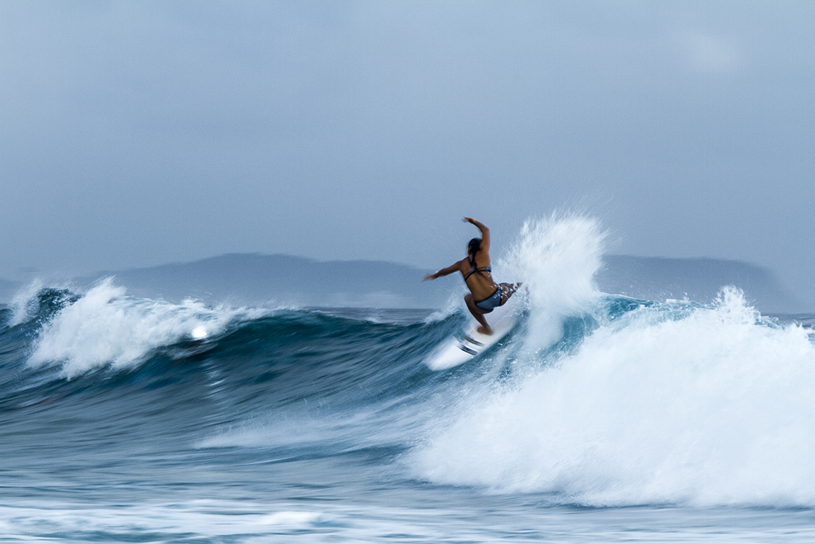 IMG_5656 snapper-11-3-2016-johanne-defay.jpg