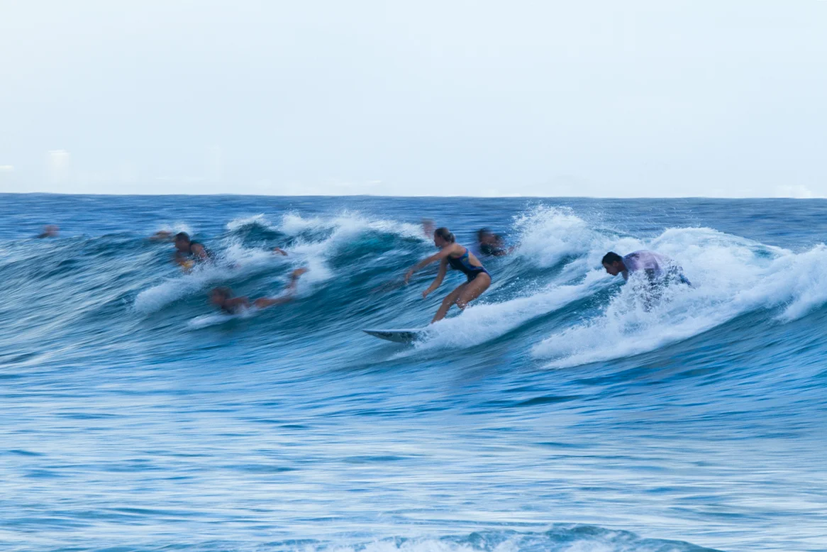 IMG_5693 snapper-11-3-2016-bianca-buitendag.jpg