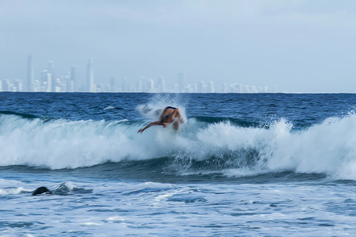 IMG_5701 snapper-11-3-2016-bianca-buitendag.jpg