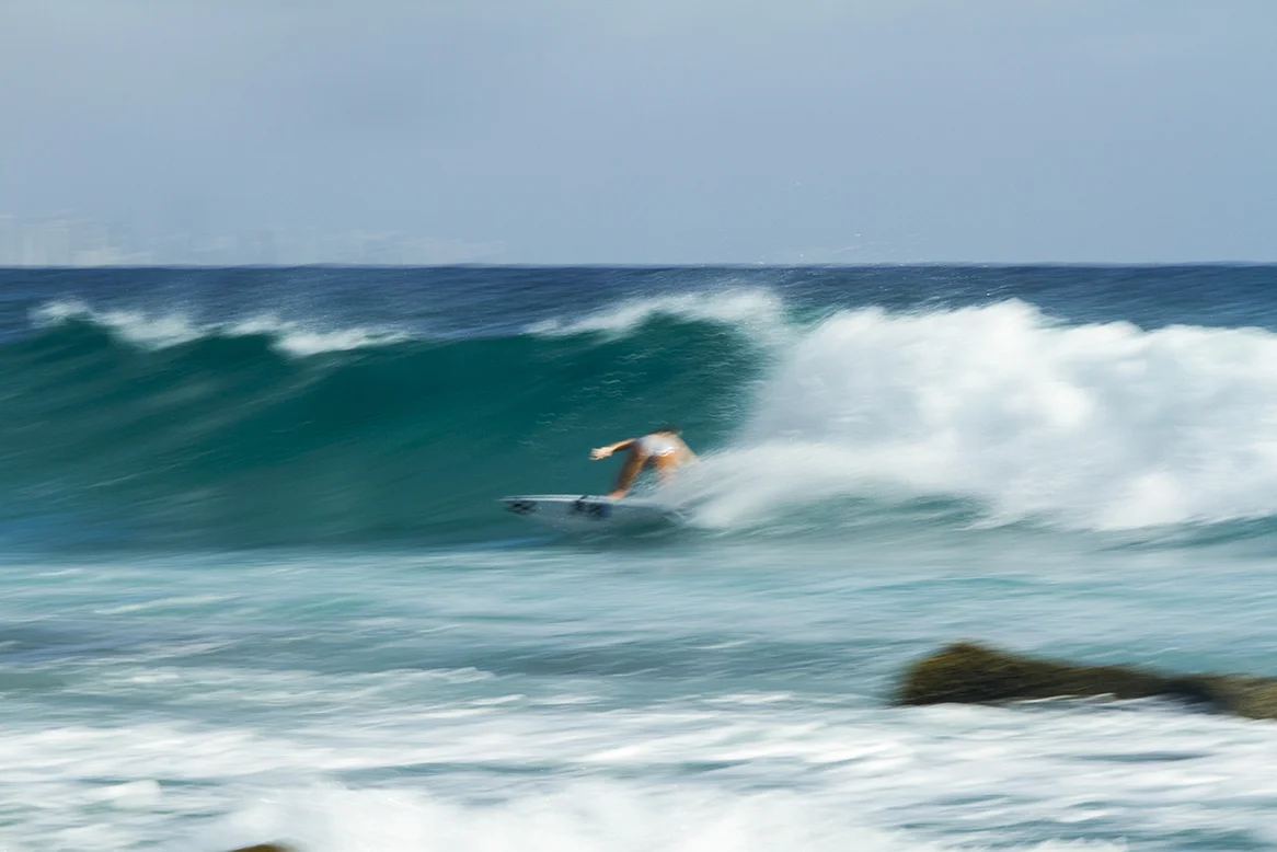 IMG_5708 snapper-11-3-2016-isabella-nichols.jpg