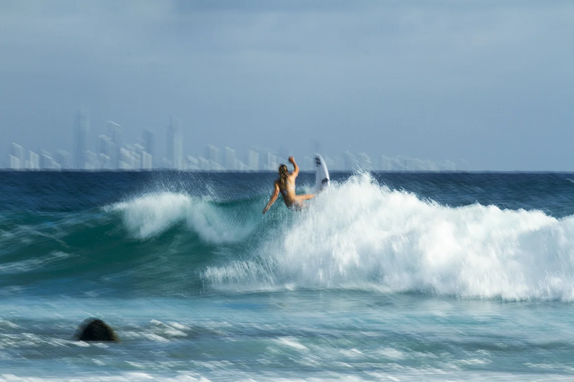 IMG_5709 snapper-11-3-2016-isabella-nichols.jpg