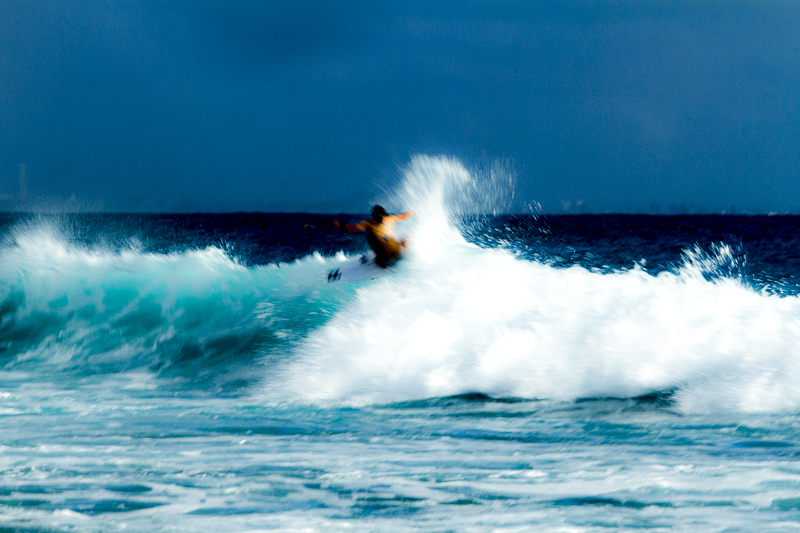 IMG_5715 snapper-11-3-2016-isabella-nichols.jpg