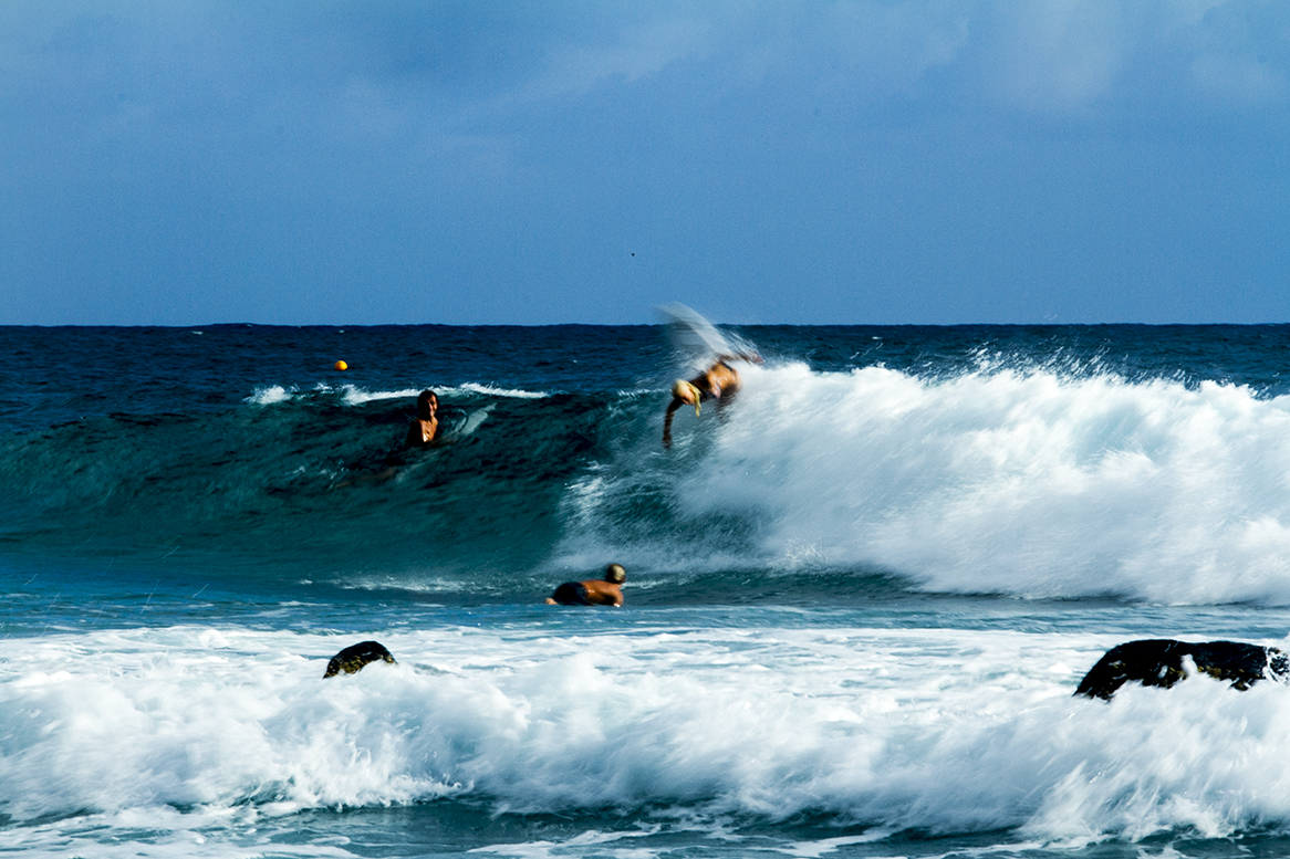 IMG_5724 snapper-11-3-2016-tatiana-weston-webb.jpg