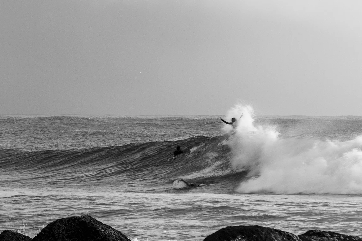 IMG_6284 Snapper-13-3-2016-Nikki-Van-Dijk.jpg