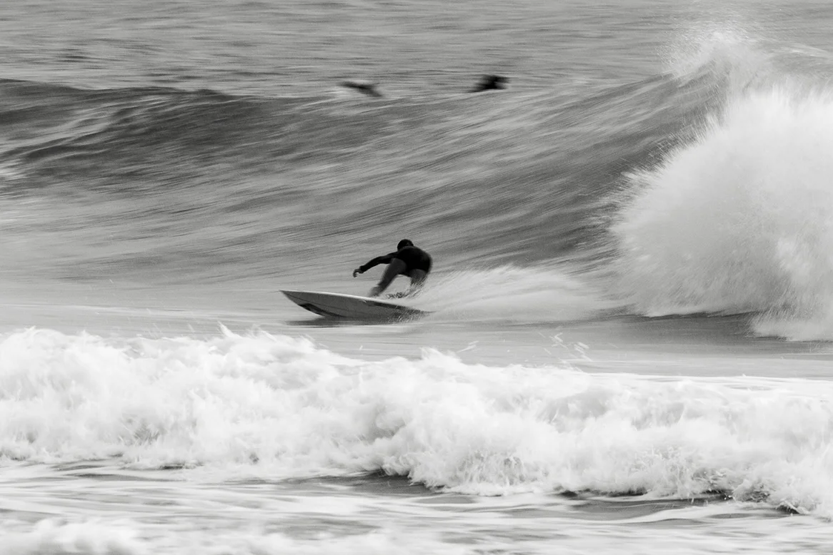 IMG_6339 Snapper-13-3-2016-Malia-Manuel.jpg