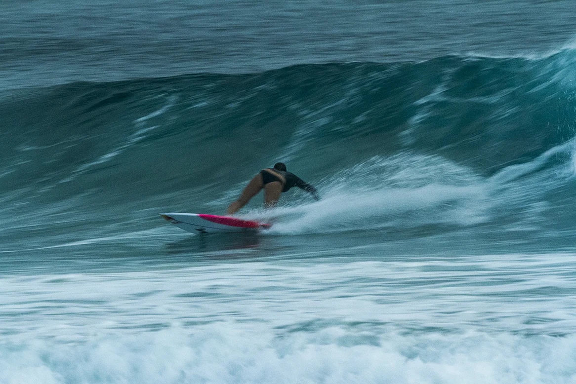 IMG_6410 snapper-14-3-2016--carissa-moore.jpg