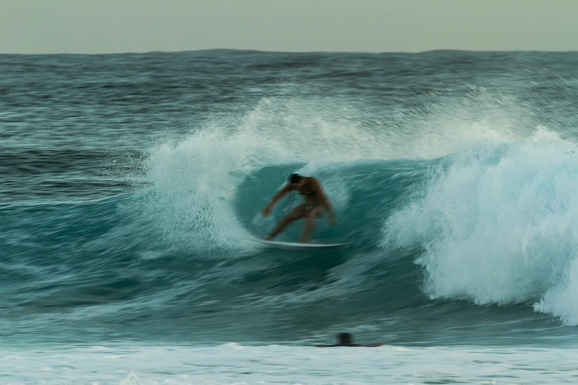 IMG_6490 snapper-14-3-2016-tyler-wright.jpg