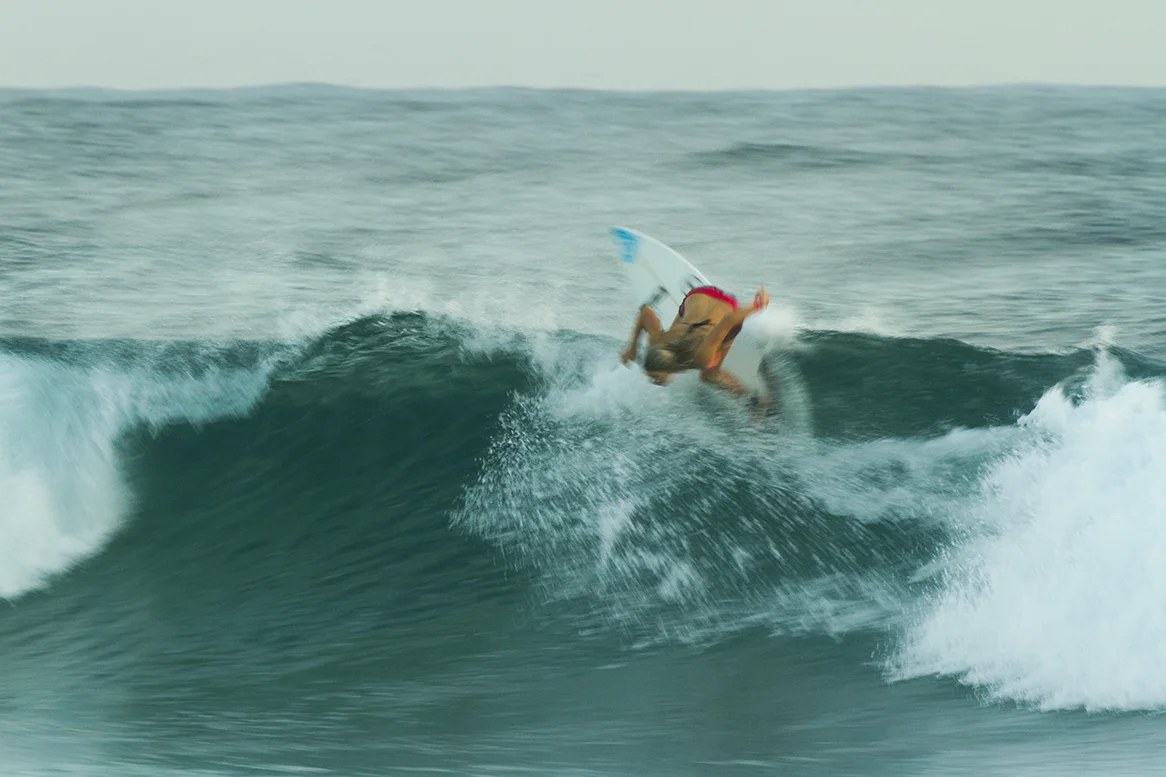 IMG_6508 snapper-14-3-2016-bronte-macaulay.jpg