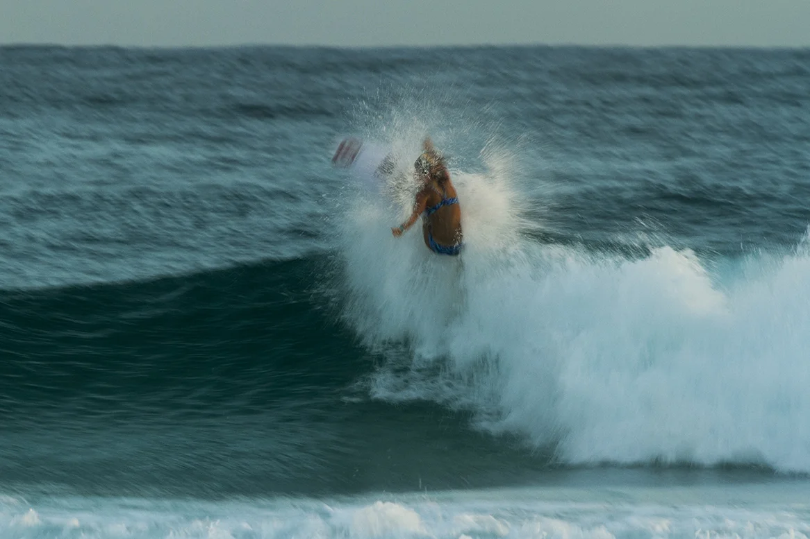 IMG_6458 snapper-14-3-2016-nikki-van-dijk.jpg