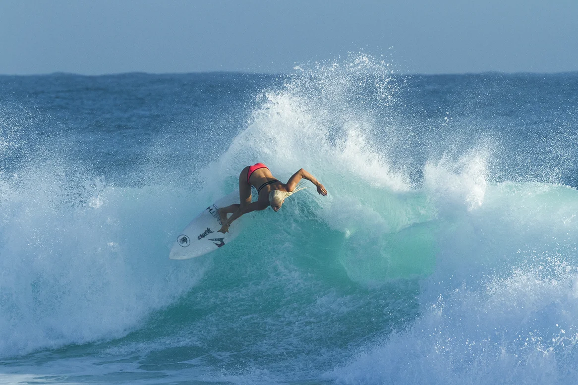 IMG_6620  snapper-14-3-2016-tatiana-weston-webb.jpg