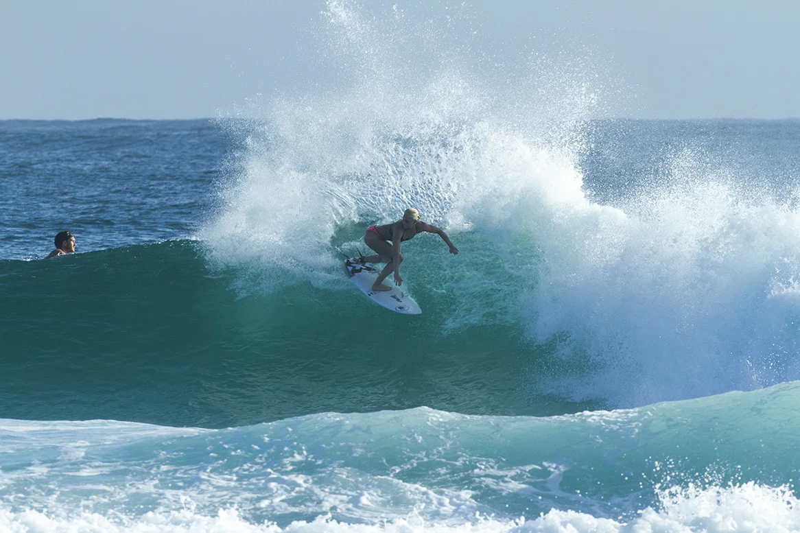 IMG_6692 snapper-14-3-2016-tatiana-weston-webb.jpg