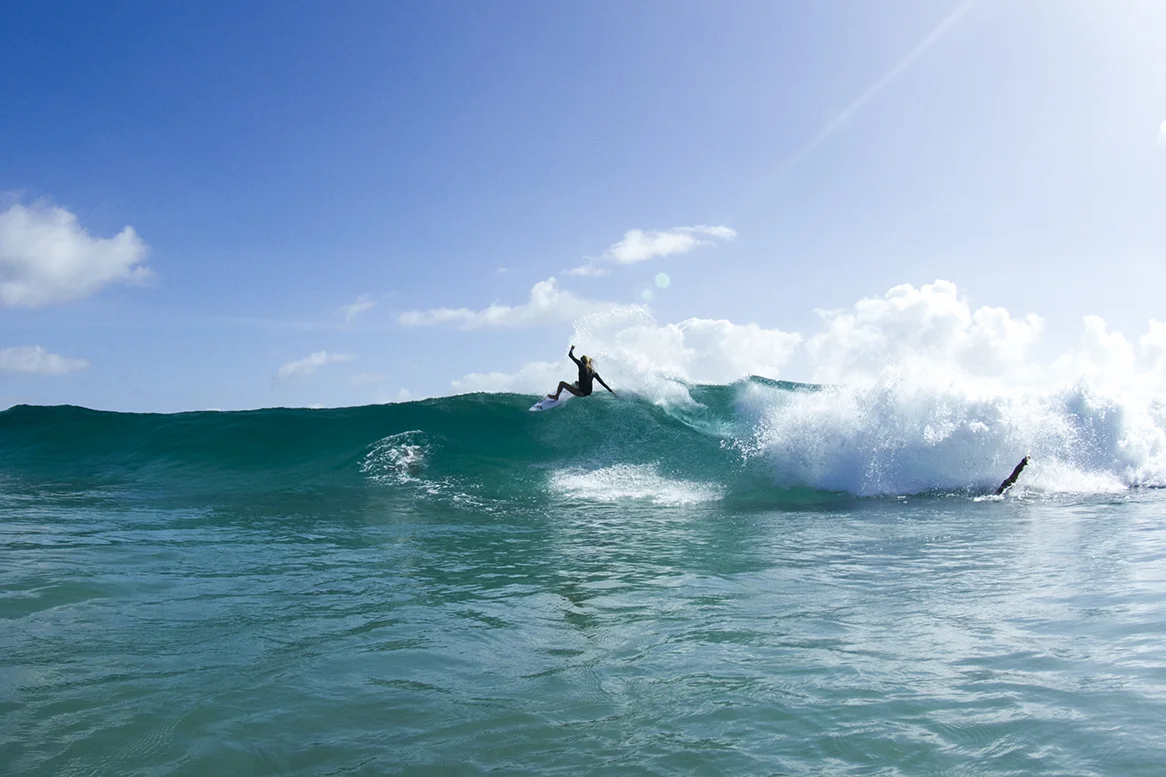 IMG_6776 snapper-14-3-2016-steph-gilmore.jpg