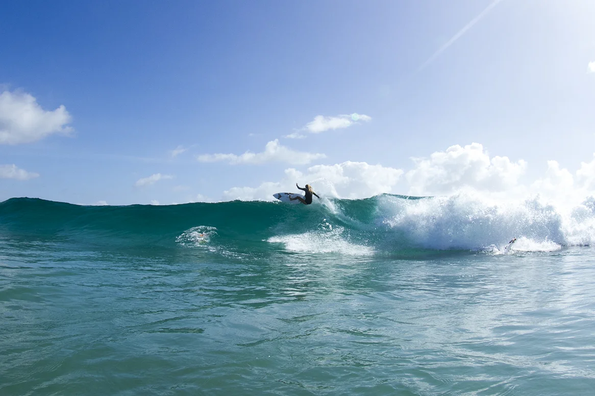 IMG_6775 snapper-14-3-2016-steph-gilmore.jpg