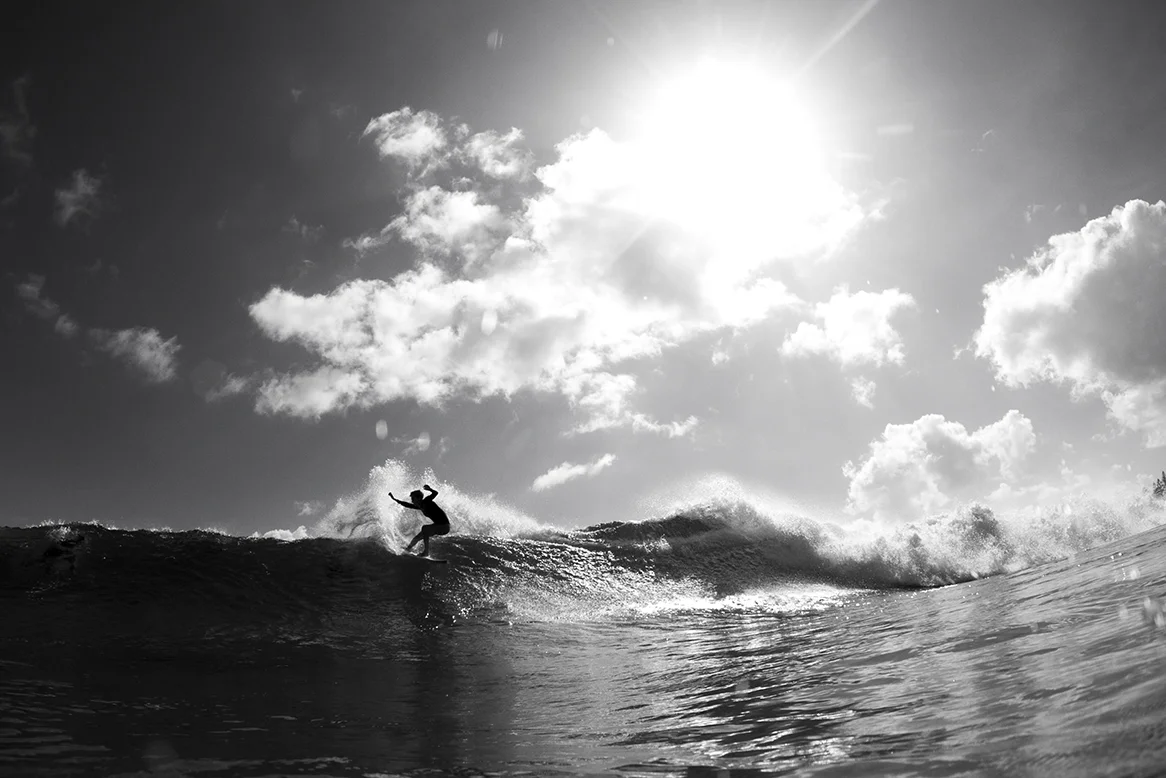 IMG_6788 snapper-14-3-2016-steph-gilmore.jpg