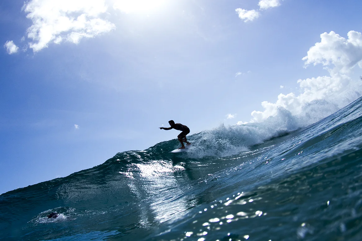 IMG_6865 snapper-14-3-2016-zeke-lau.jpg