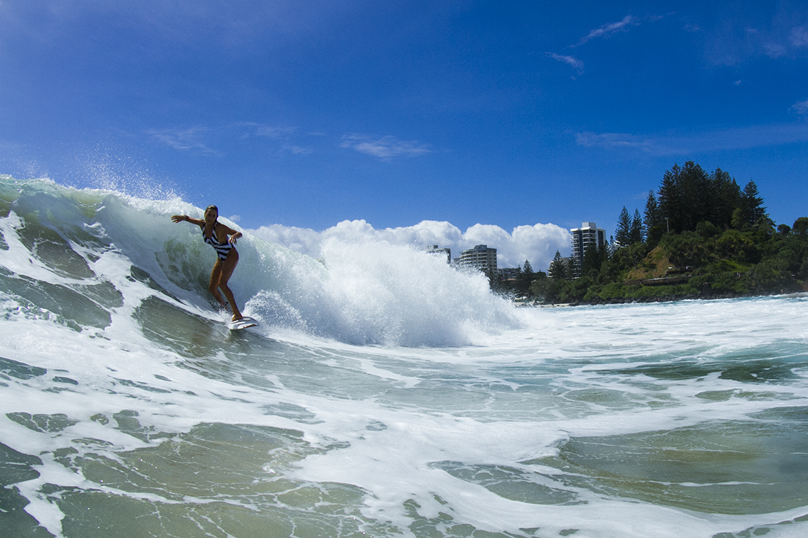 IMG_6985 snapper-14-3-2016-alana-blanchard.jpg