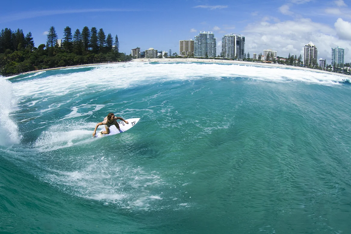 IMG_7019 snapper-14-3-2016-coco-ho.jpg