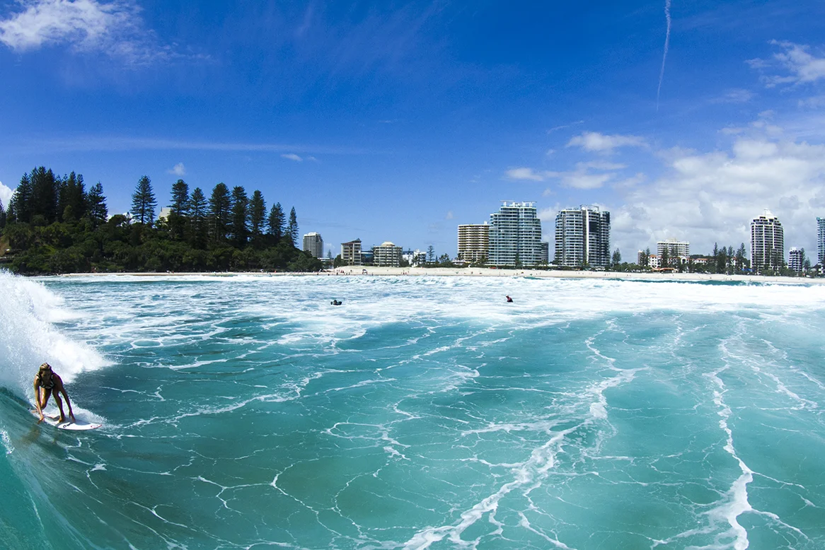 IMG_7024 snapper-14-3-2016-alana-blanchard.jpg