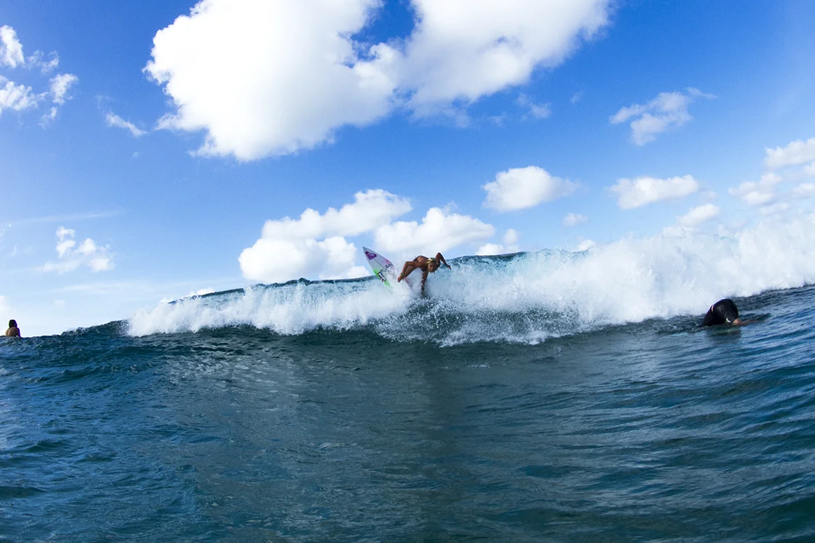 IMG_7150 snapper-14-3-2016-alyssa-lock.jpg