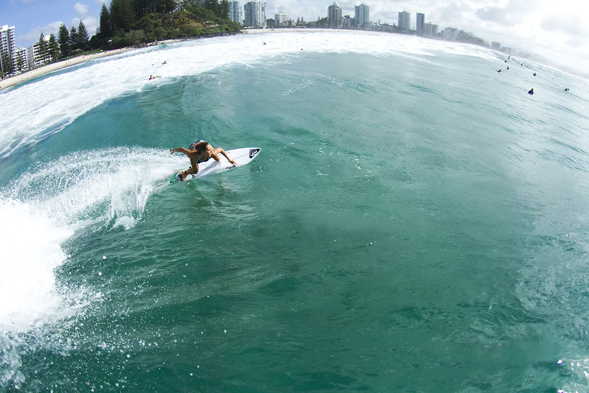 IMG_7170 snapper-14-3-2016-chelsea-tuach.jpg