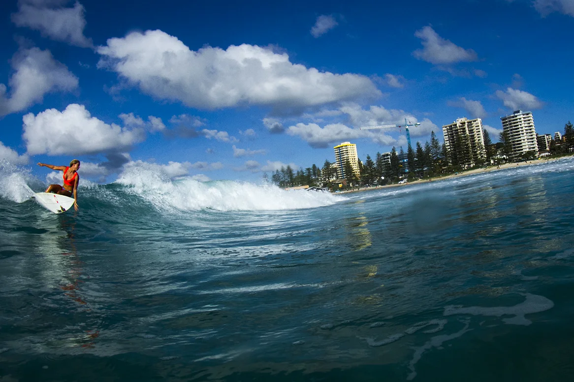 IMG_7239 snapper-14-3-2016-sage-erickson.jpg