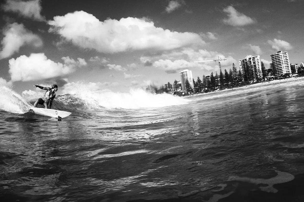 IMG_7240 snapper-14-3-2016-sage-erickson.jpg