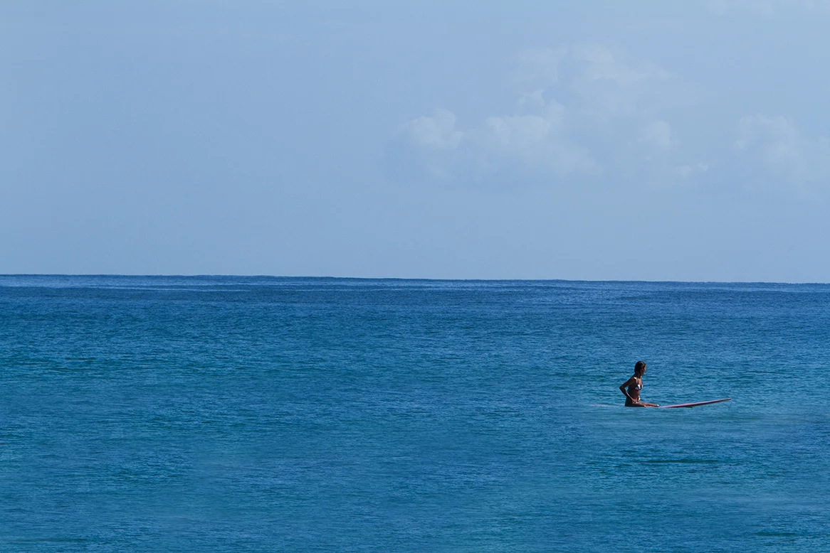 IMG_9732 victoria-vergara-by-fran-miller.jpg