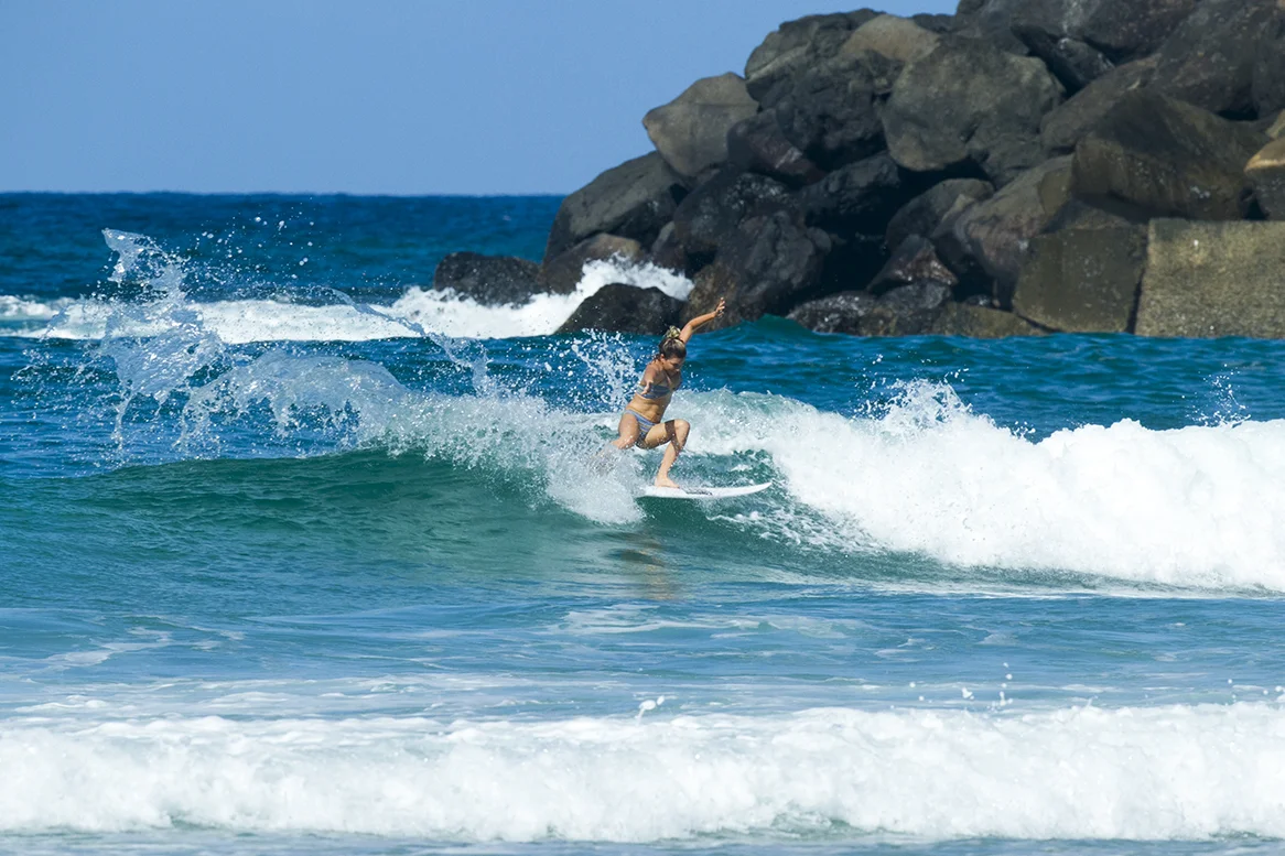 IMG_0082 dbah-1-4-2016-coco-ho-by-fran-miller.jpg