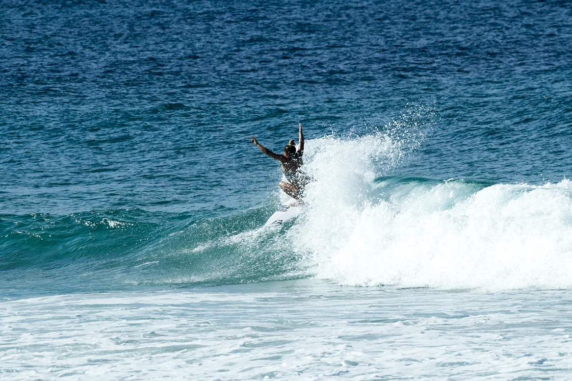 IMG_0184 dbah-1-4-2016-coco-ho-by-fran-miller.jpg