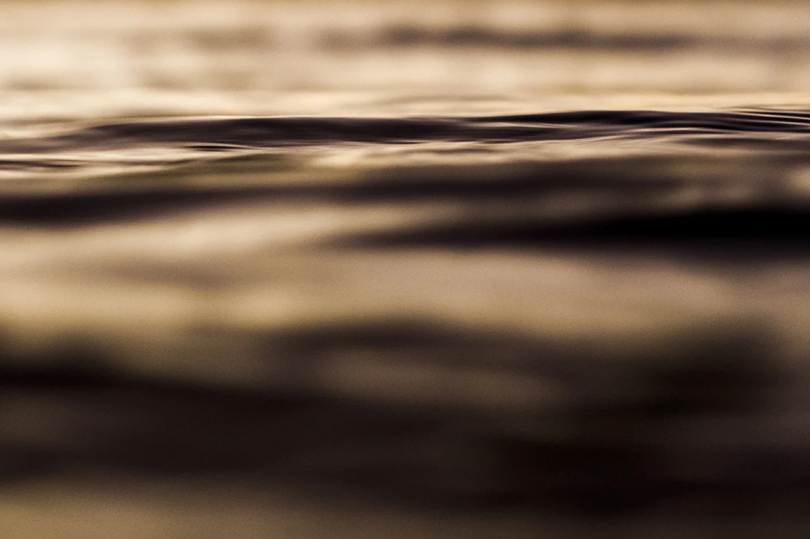 IMG_0067 cameo fran-miller-photo.jpg