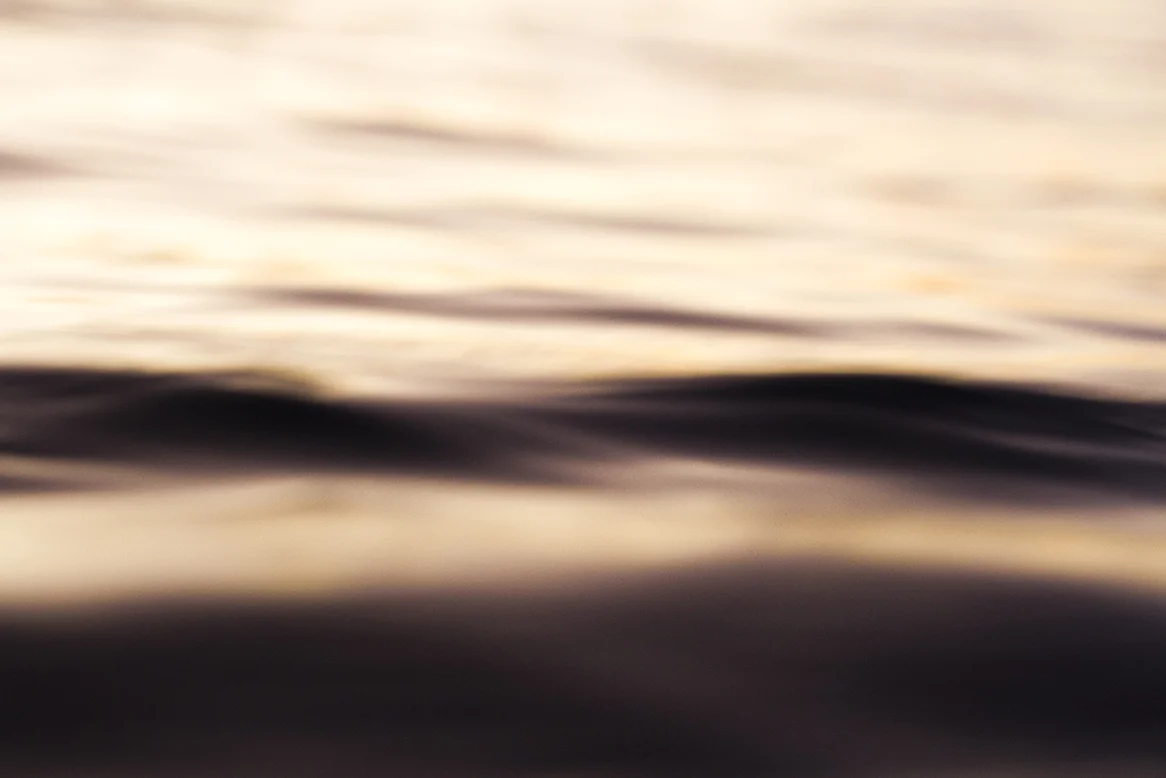 IMG_0069 solitaire fran-miller-photo.jpg